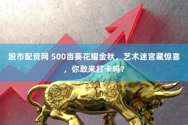 股市配资网 500亩葵花耀金秋，艺术迷宫藏惊喜，你敢来打卡吗？