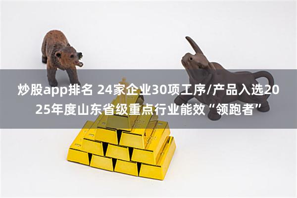 炒股app排名 24家企业30项工序/产品入选2025年度山东省级重点行业能效“领跑者”