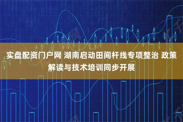 实盘配资门户网 湖南启动田间杆线专项整治 政策解读与技术培训同步开展