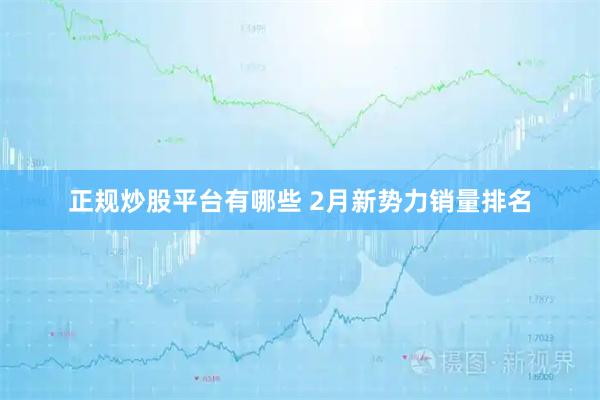 正规炒股平台有哪些 2月新势力销量排名