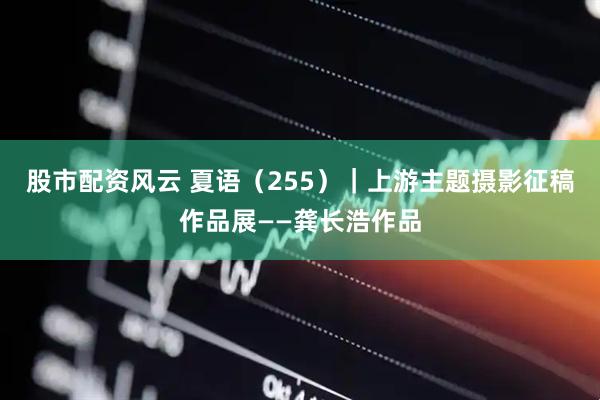 股市配资风云 夏语（255）｜上游主题摄影征稿作品展——龚长浩作品