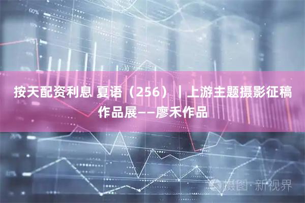 按天配资利息 夏语（256）｜上游主题摄影征稿作品展——廖禾作品