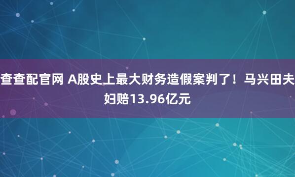 查查配官网 A股史上最大财务造假案判了！马兴田夫妇赔13.96亿元