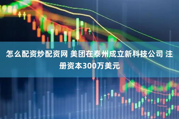 怎么配资炒配资网 美团在泰州成立新科技公司 注册资本300万美元